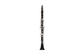 BUFFET CRAMPON - KLARINET PRODIGE BES BC2541L-2-0GB + LINKER ES KLEP 18/6